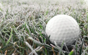 Golfboll i frostigt gräs